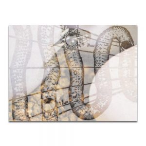 Serpentín 1. Serie La Destilación. Collage digital