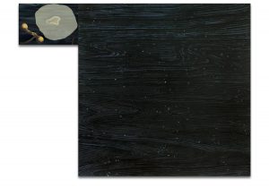 Vuelo. Técnica mixta sobre madera, impresión digital sobre lienzo. 120×157 cm.